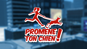 Promene ton chien